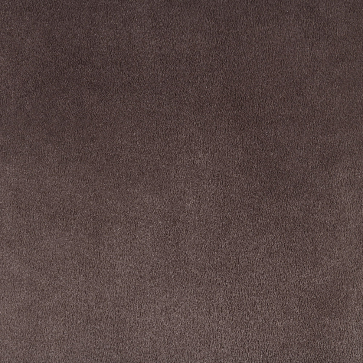 Relax - Velvet 54.75" Upholstered Loveseat