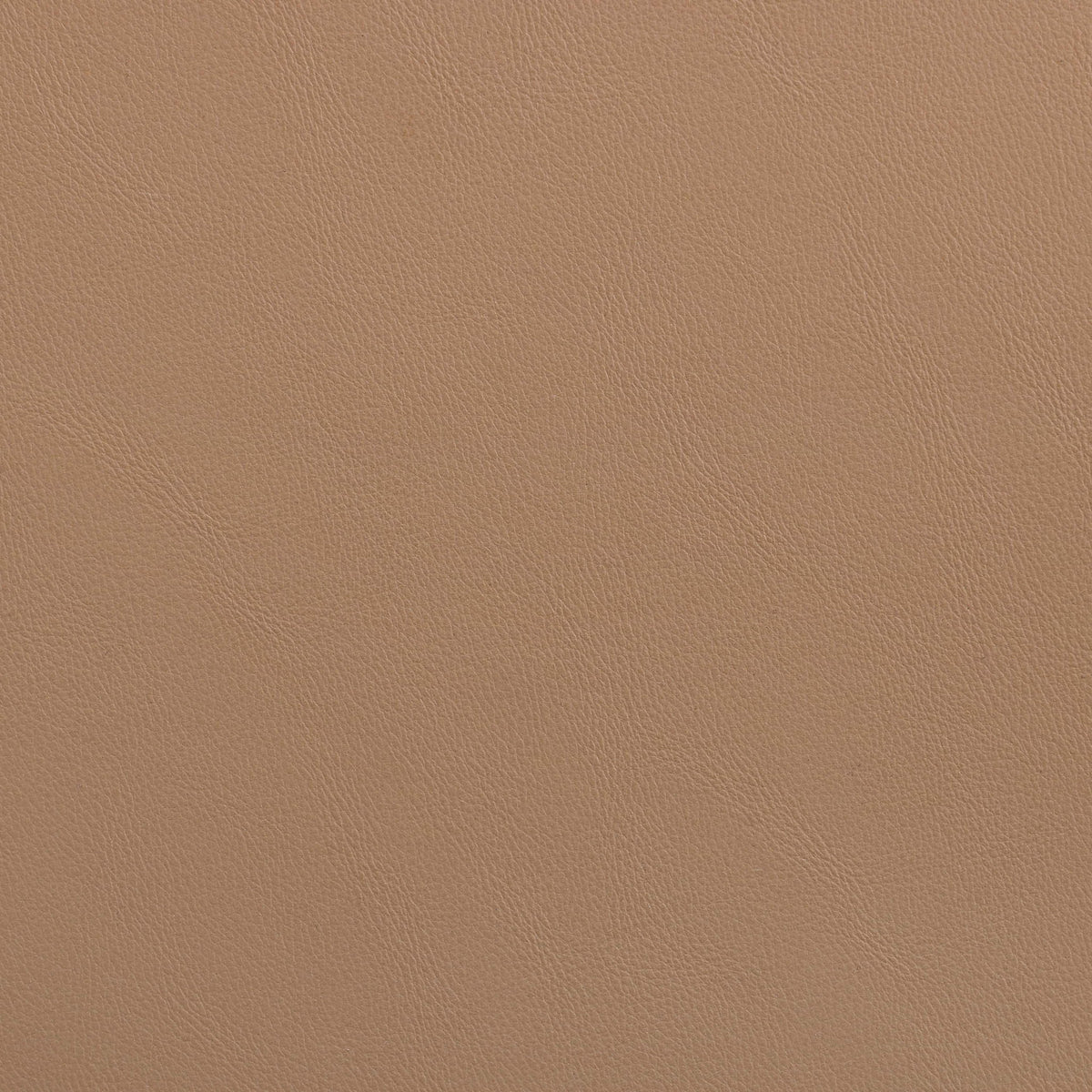 Vanda - Vegan Leather Upholstered Dining Chair