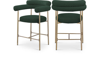 Blake - Counter Stool (Set of 2)