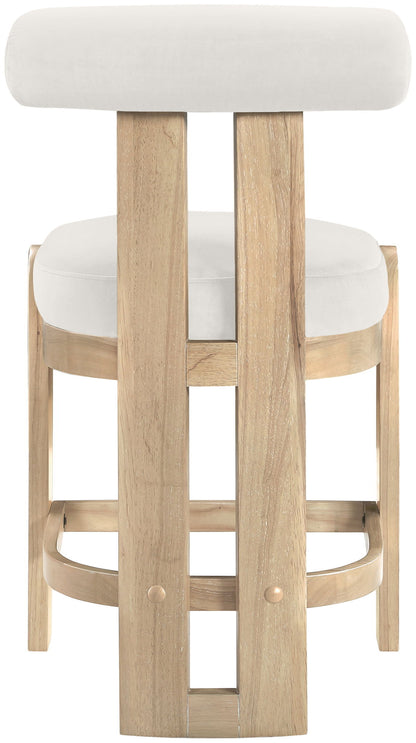 Arienzo - Velvet Performance Fabric Upholstered Counter Stool (Set of 2)