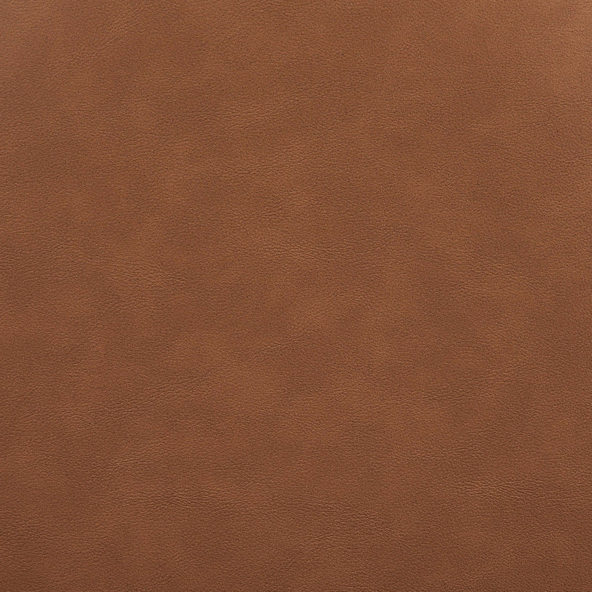 Warby - Upholstered Bed