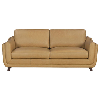 Hayden - Sofa Set