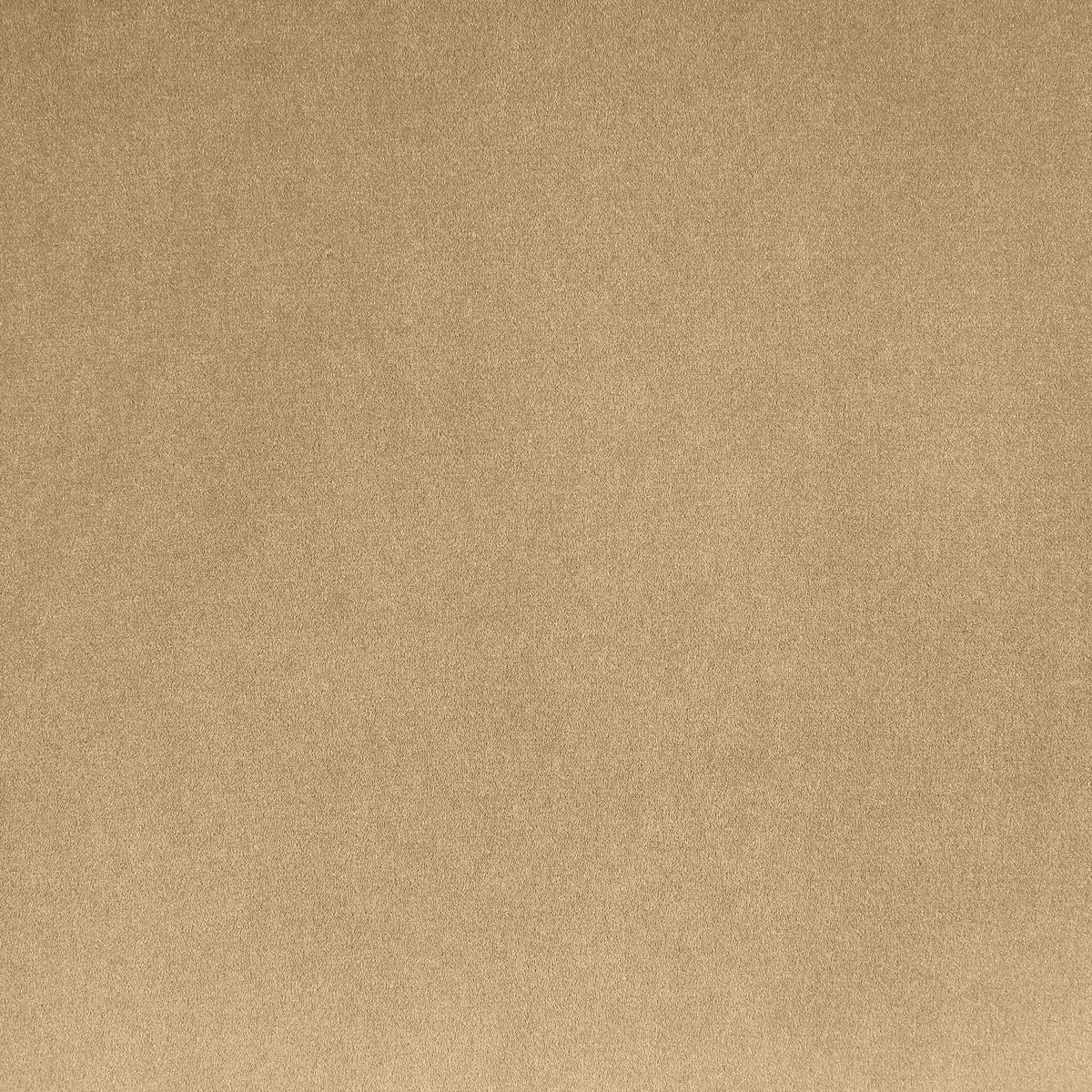 Destin - Chair - Camel