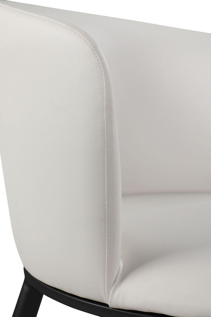 Skylar - Dining Chair (Set of 2)