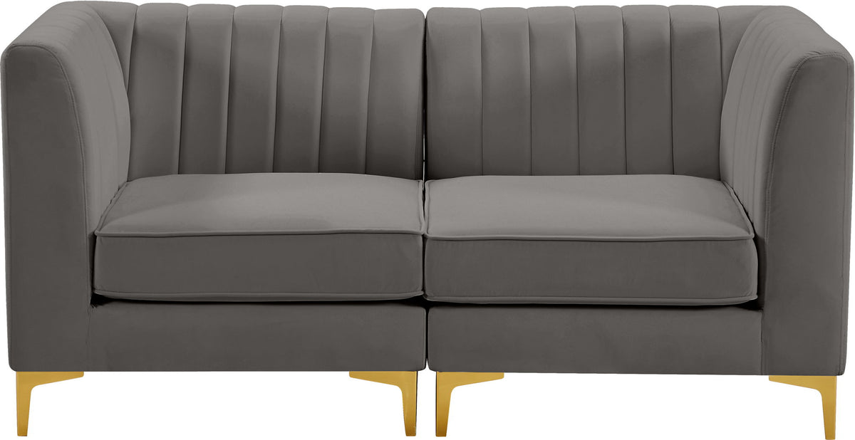Alina - 2 Piece Modular Sectional