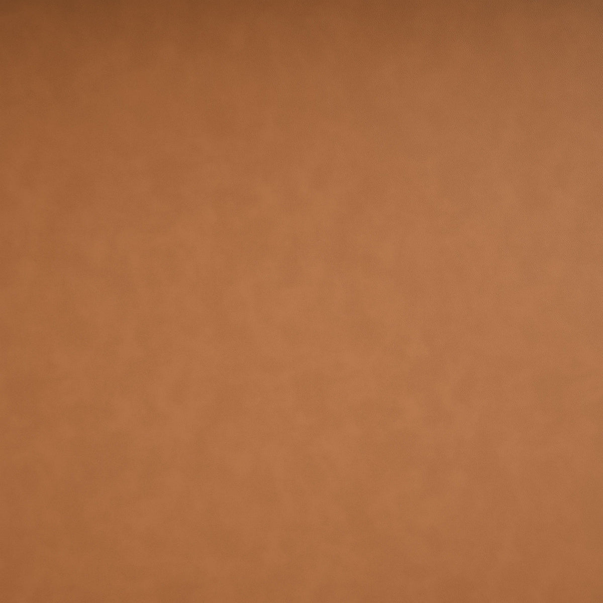 Everett - Vegan Leather Upholstered Chair