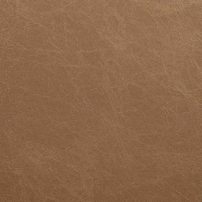 Ravina - Upholstered Counter Stool With Stained Brown Base