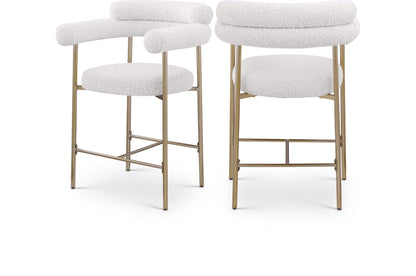 Blake - Counter Stool (Set of 2)