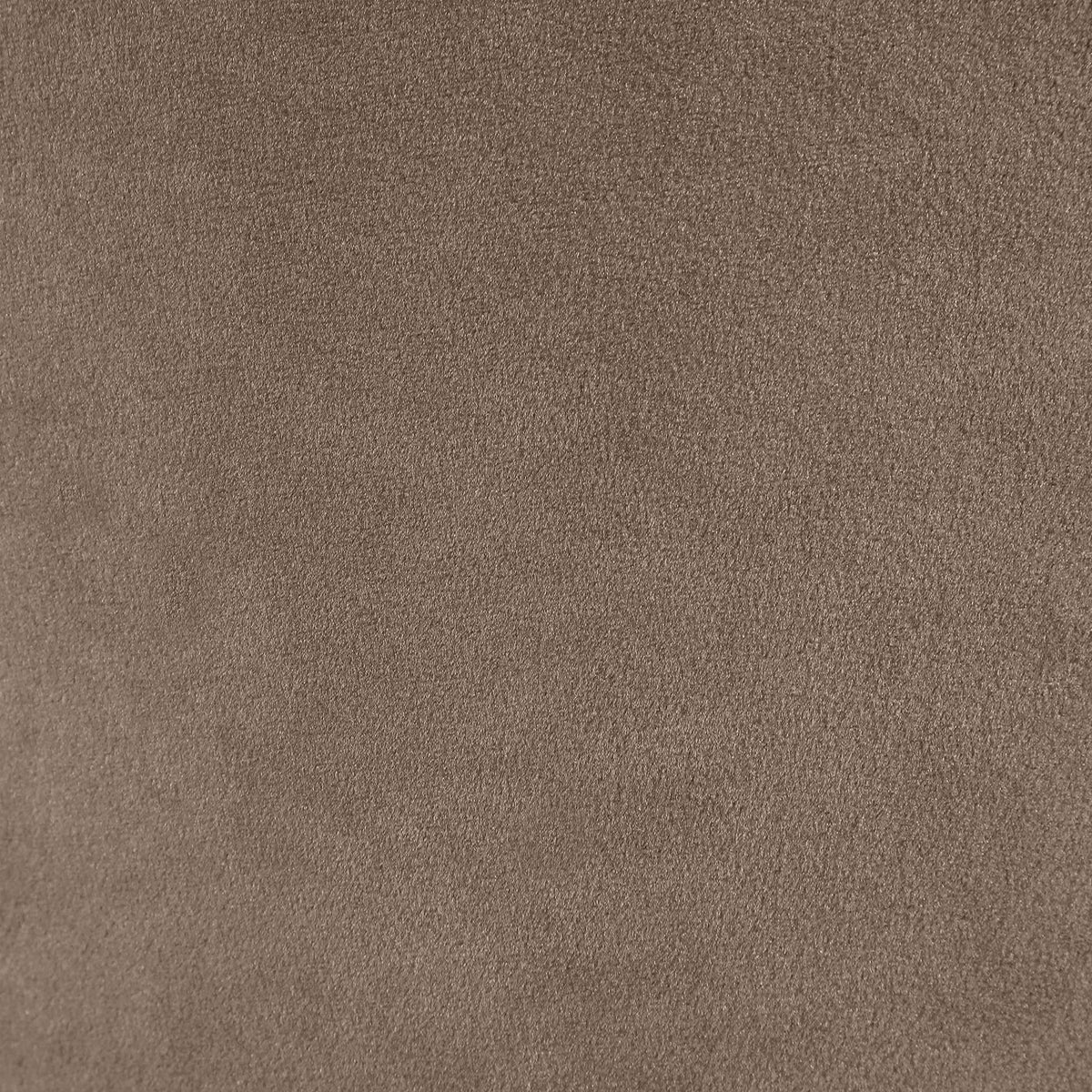 Zuno - Velvet Performance Fabric Upholstered Dining Chair (Set of 2)