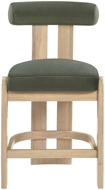 Arienzo - Velvet Performance Fabric Upholstered Counter Stool (Set of 2)
