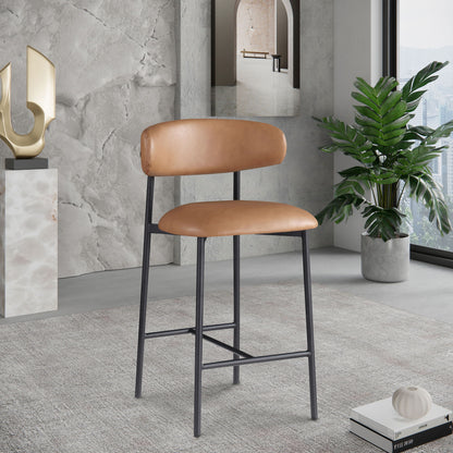 Lupita - Counter Stool (Set of 2)