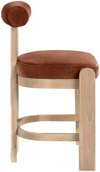 Arienzo - Velvet Performance Fabric Upholstered Counter Stool (Set of 2)