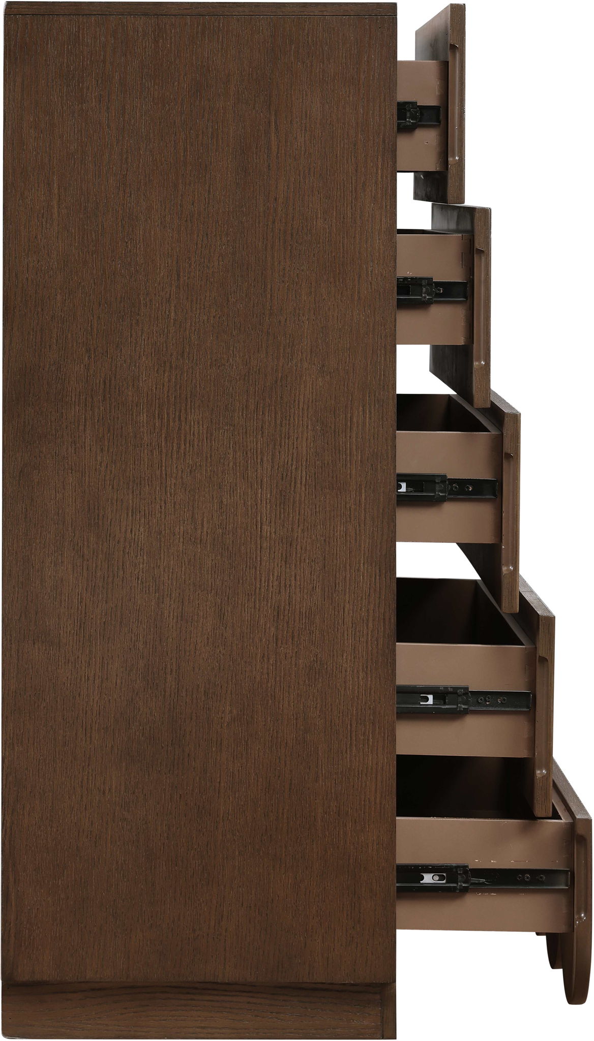 Scallop - Chest