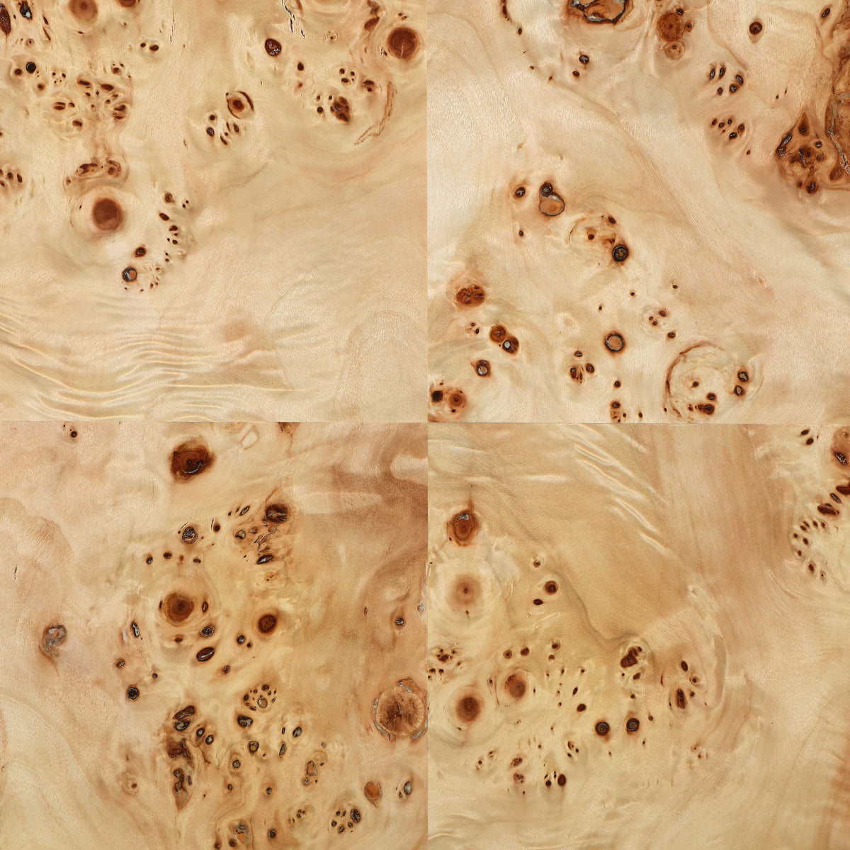 Vassa - Burl Veneer End Table
